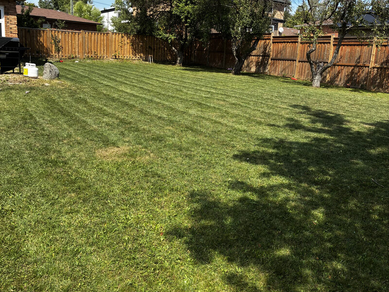 Professional lawn cutting service in Thornhill Ontario