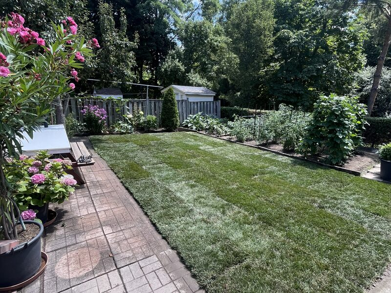 Professional lawn sodding service in Thornhill Ontario