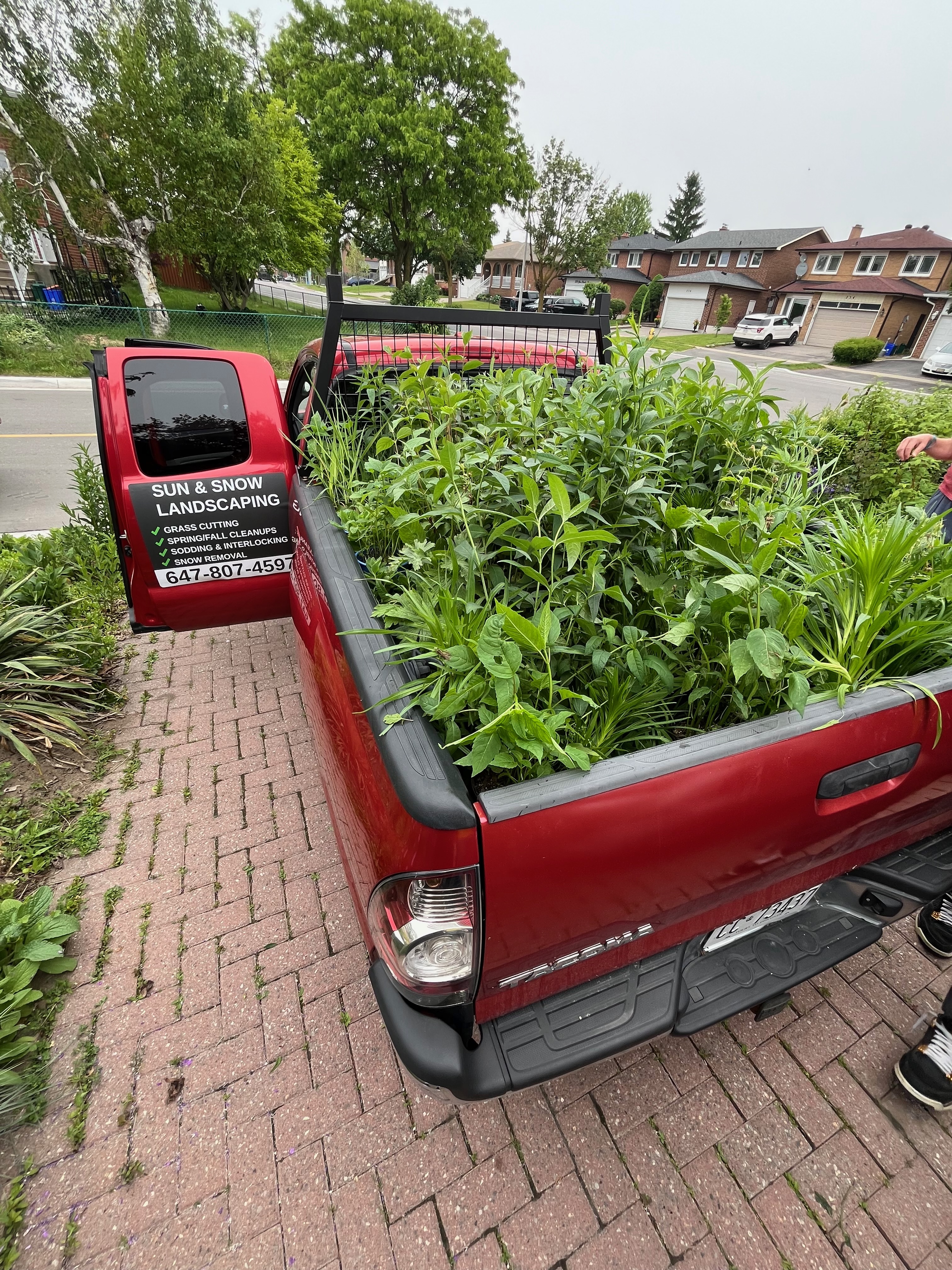 Sun and Snow landscaping team at work